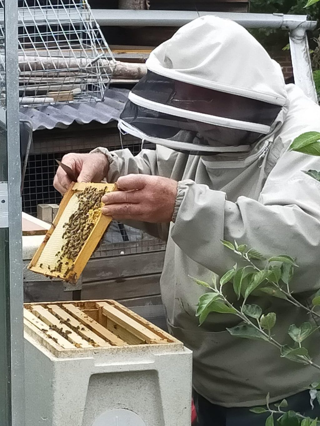 My Grandad harvesting honey in his garden. 