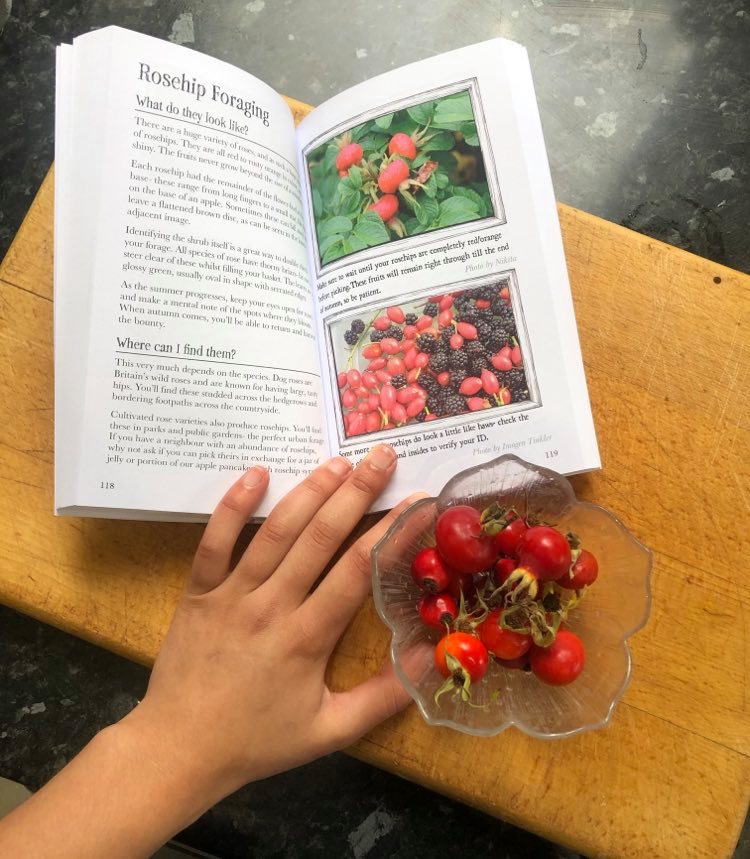 Rosehips and Rosehip foraging guide 