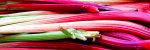 Rhubarb 